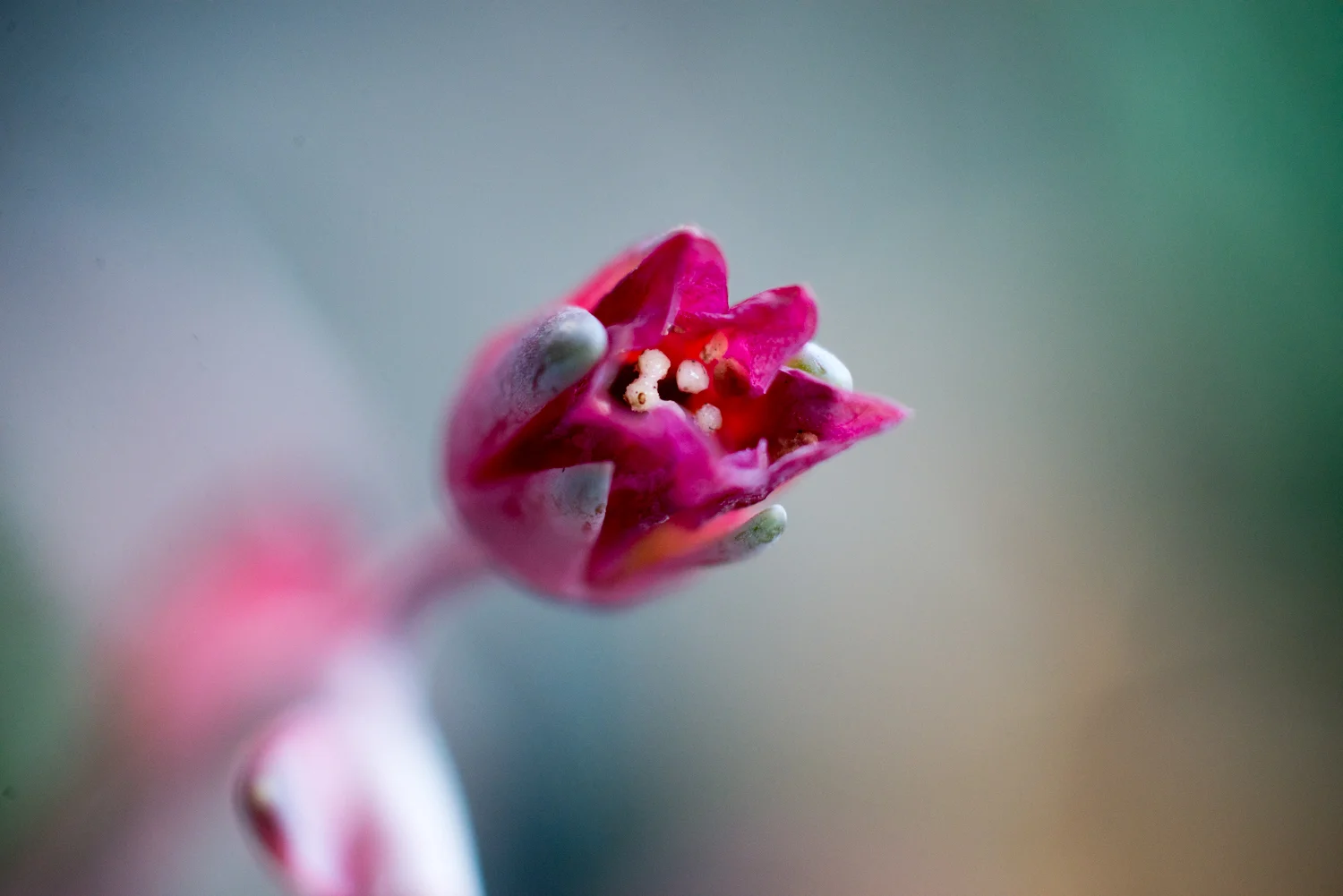 DSC_3083.jpg