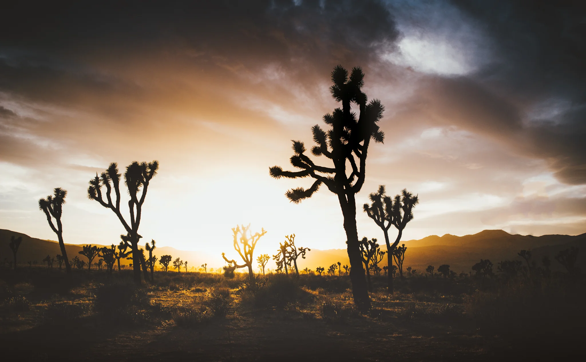 untitled-6-Edit.jpg