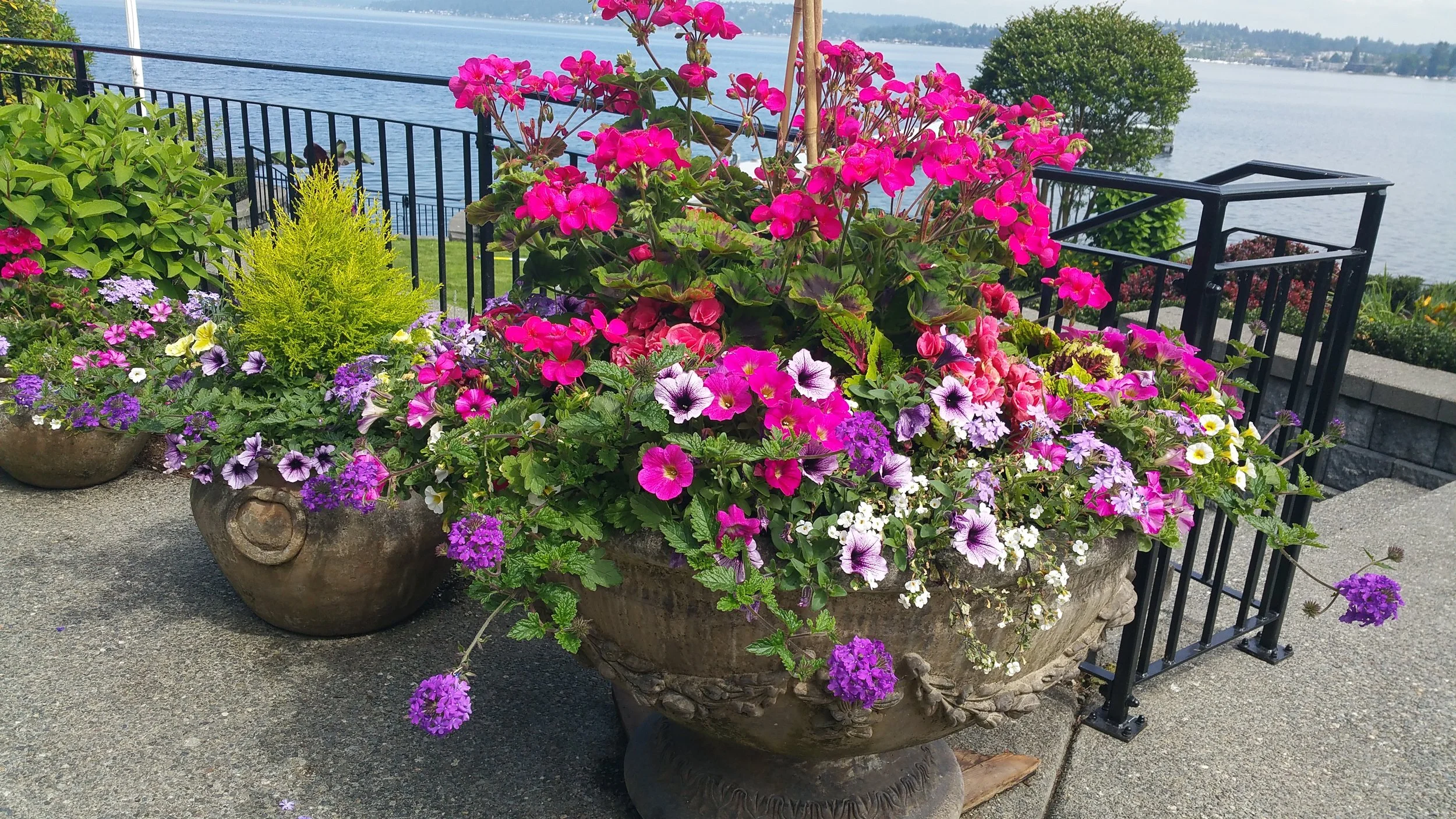 20150527_112012.jpg
