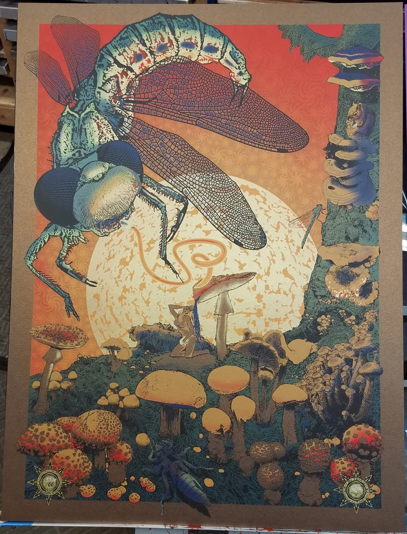 Sunrise on Bronze Stardream