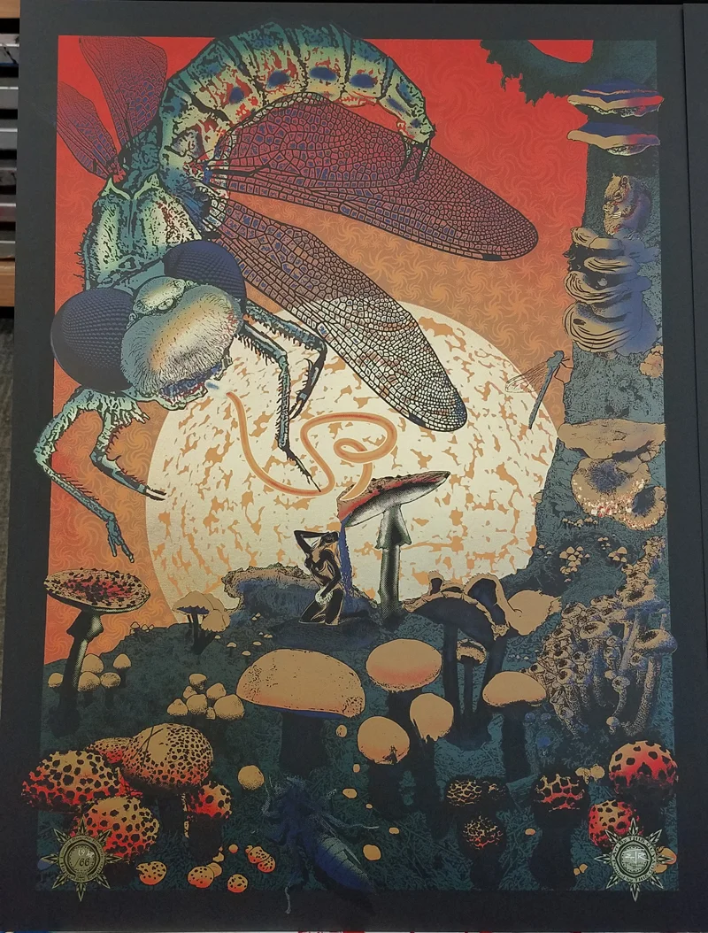 Sunrise on Black Plike w/ Gold Sun