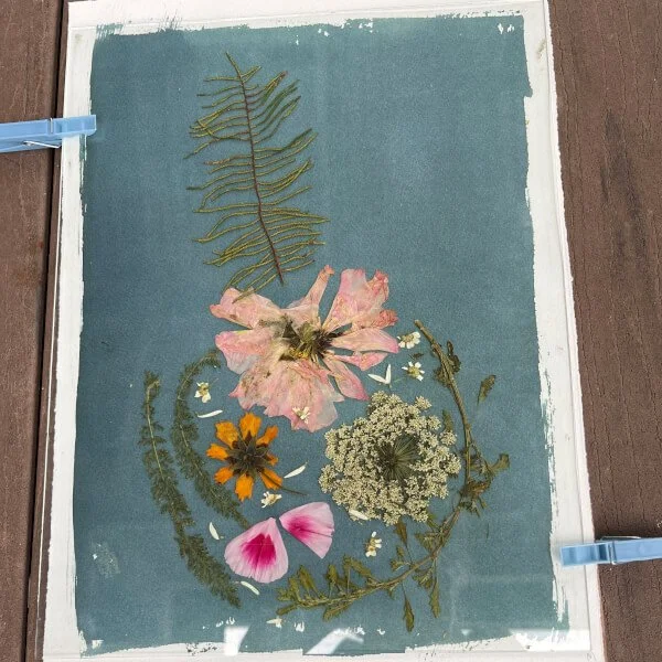 botanical-cyanotype-class-for-beginners-qld-country-review-128511-600.jpg