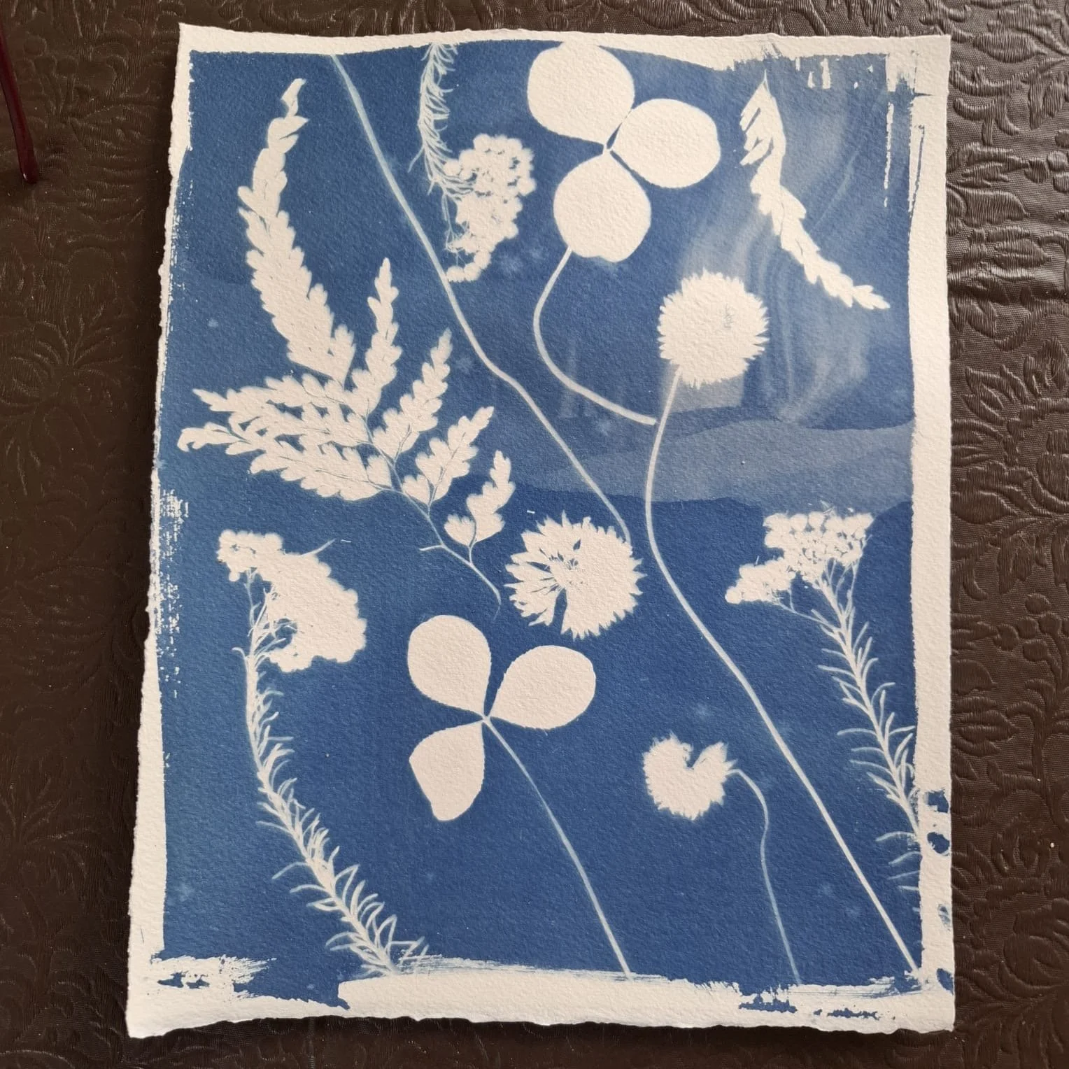 a34893d3-7458-422e-a740-3314a51f51d7.JPG