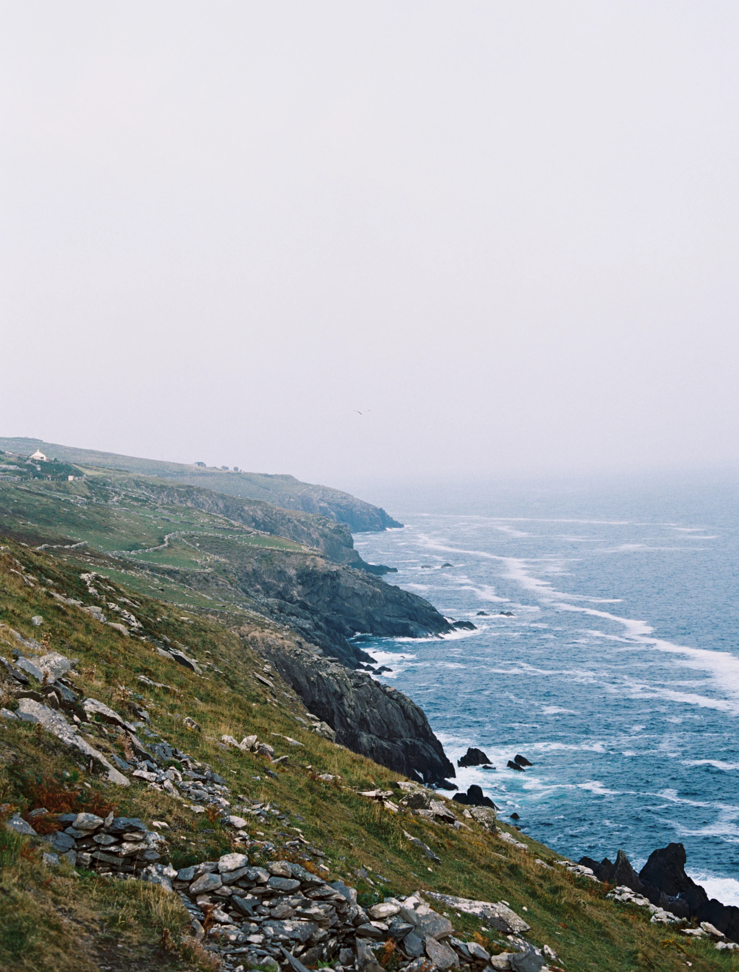 CoastalMorning-RyanBernal.jpg