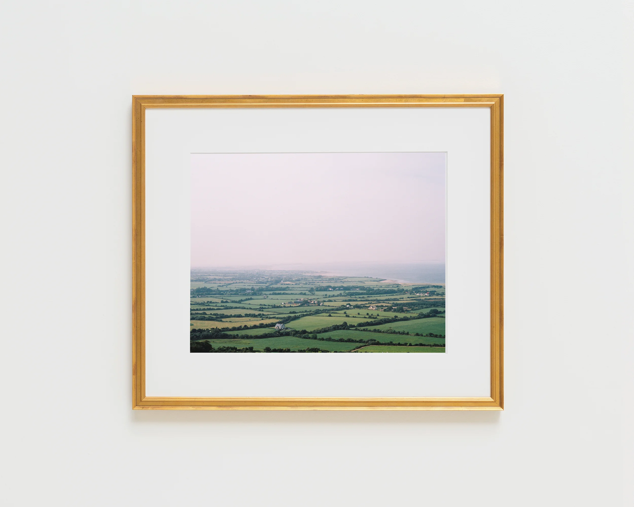 IrishFieldsForever-Gold.jpg