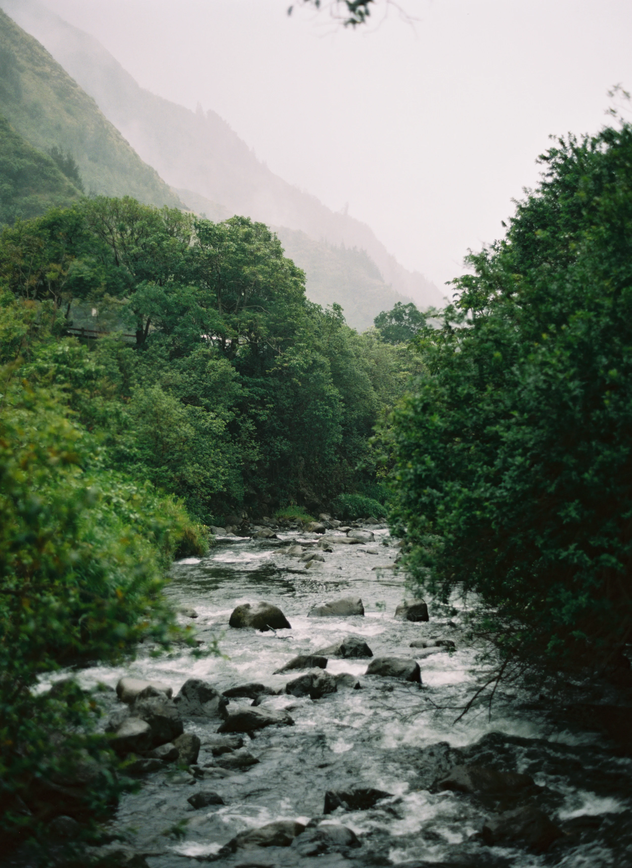 007599-R1-E007.jpg