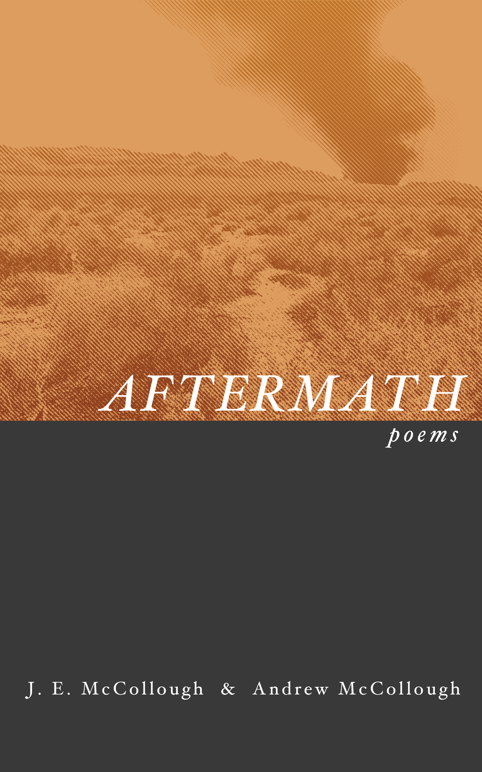 aftermath5c.png