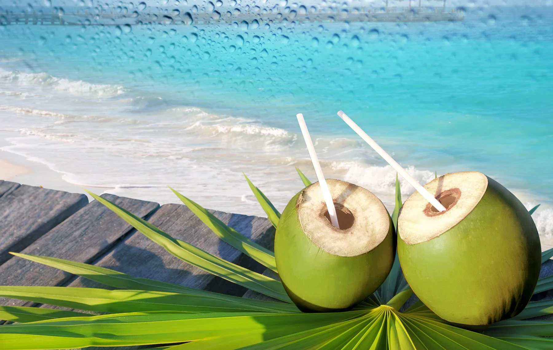 coconuts and beach.jpg