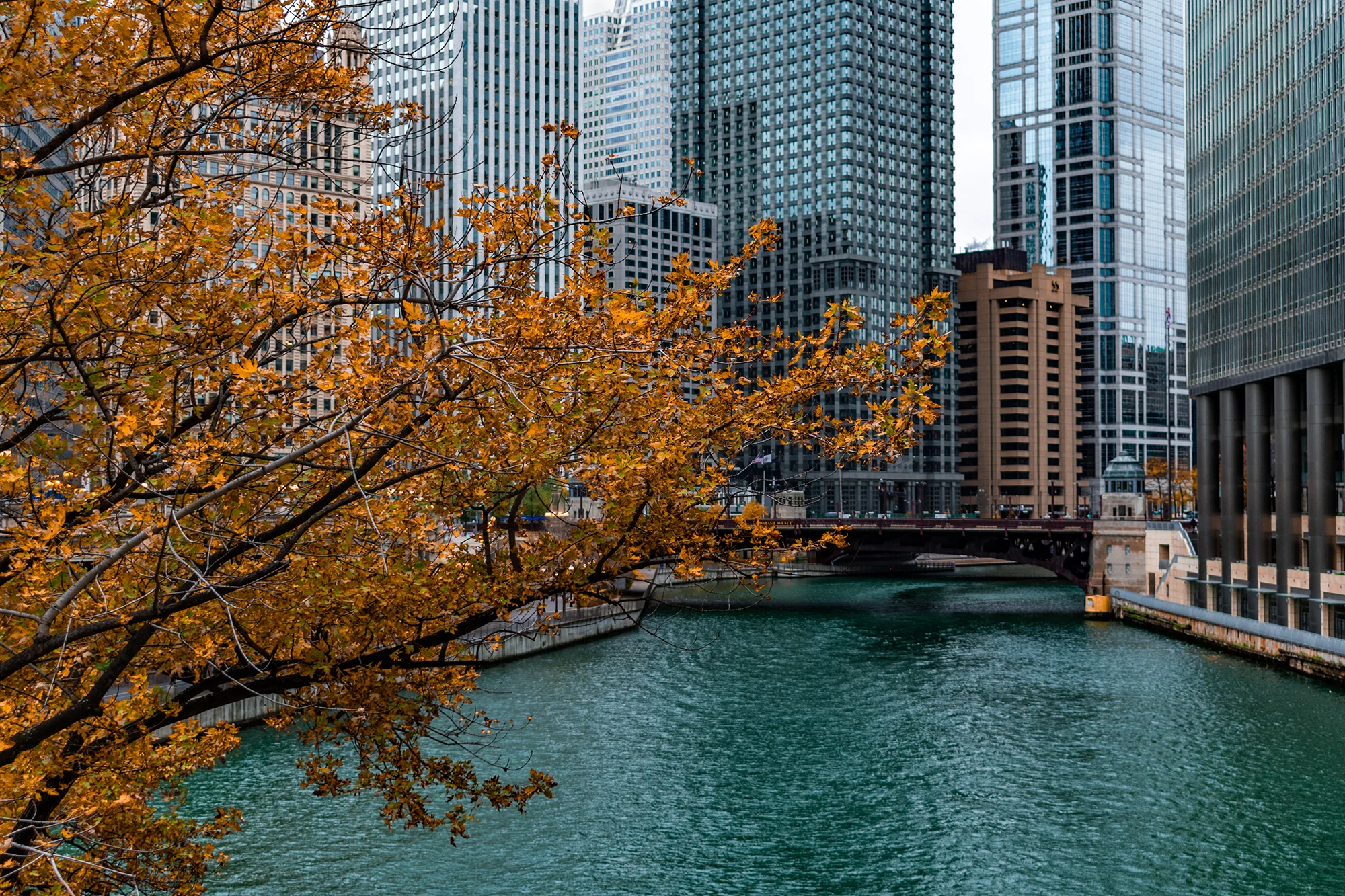 iStock-1125780678-web.jpg