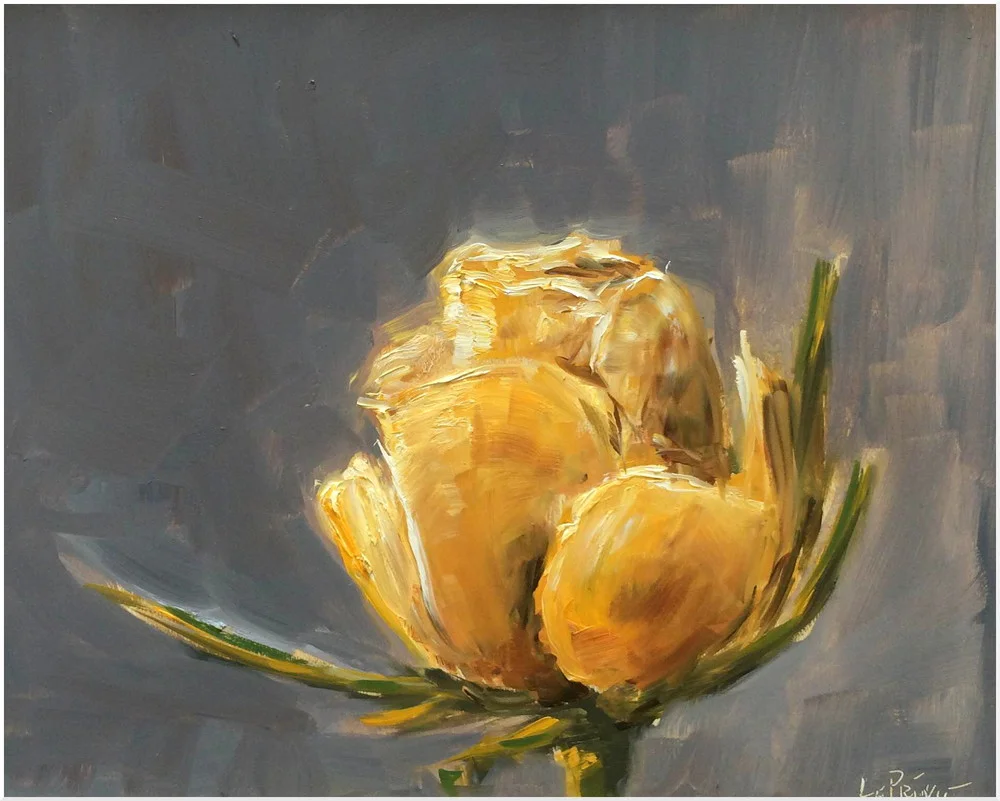 Rose-8x10-1500.jpg