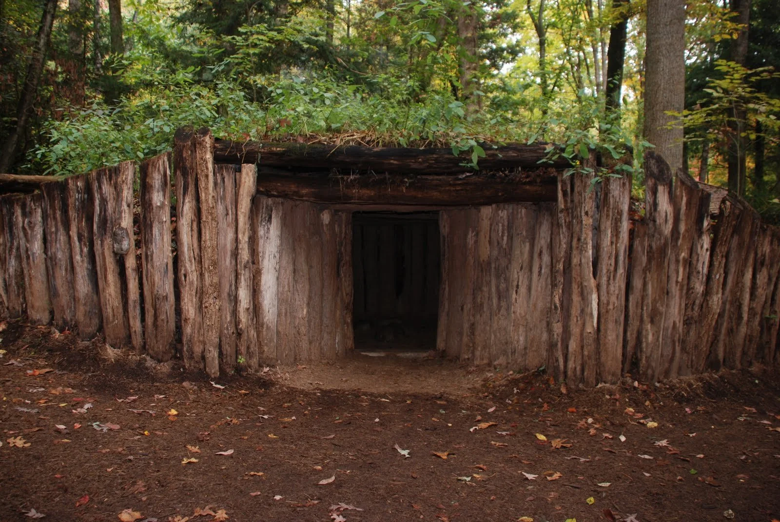 cherokee village.JPG
