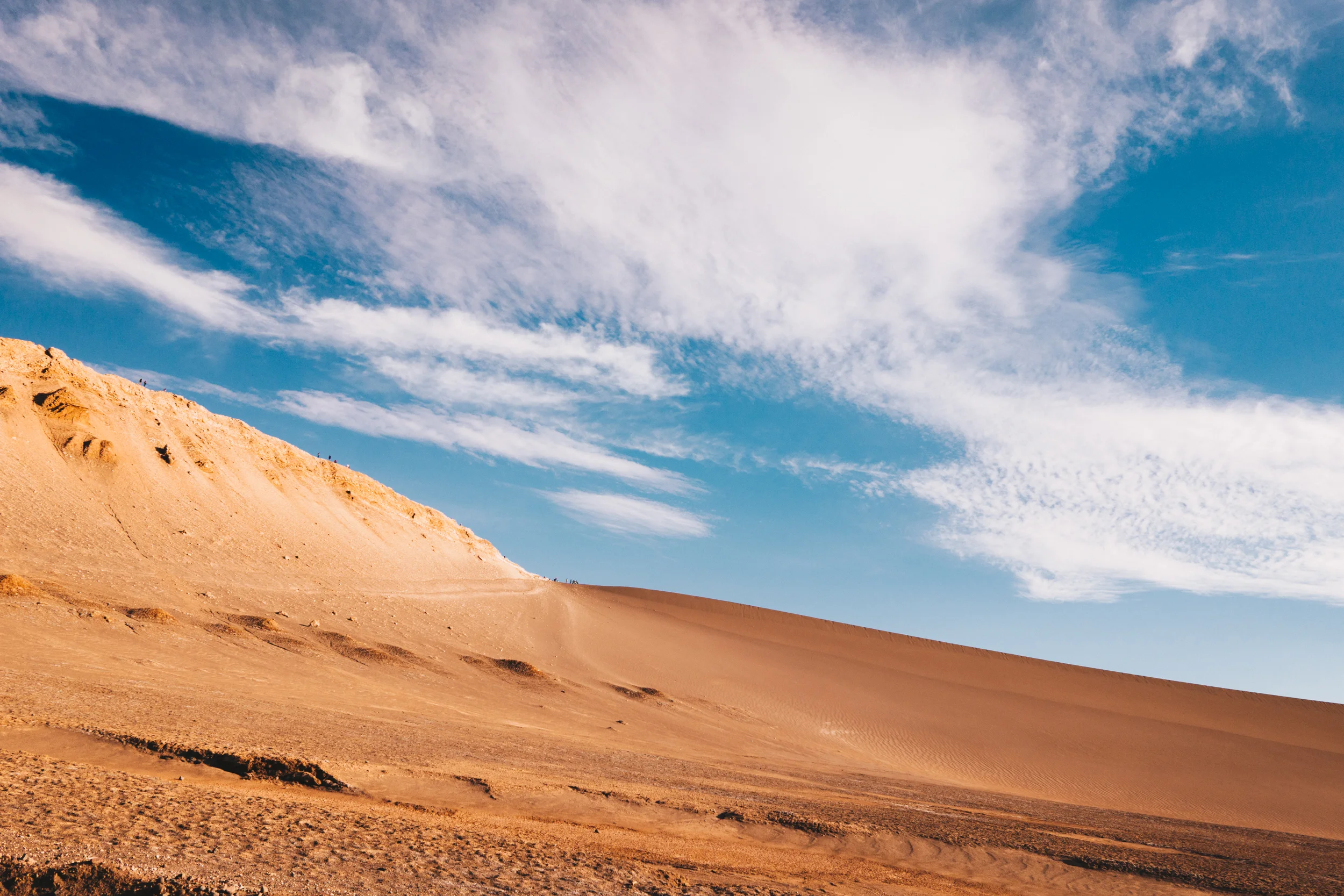 Atacama_Leica-3.jpg