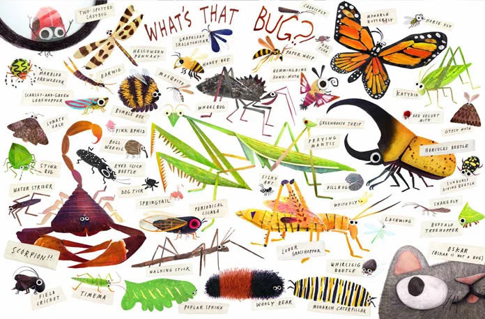 some_bugs_spread1.jpg