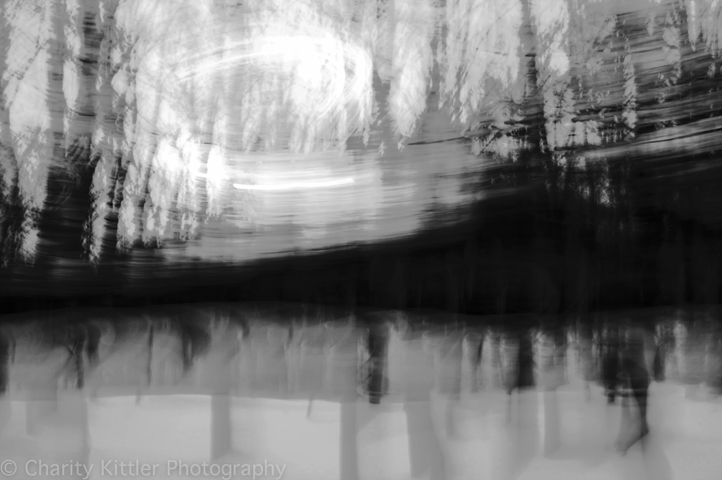 Northeastern Woods, February 2014