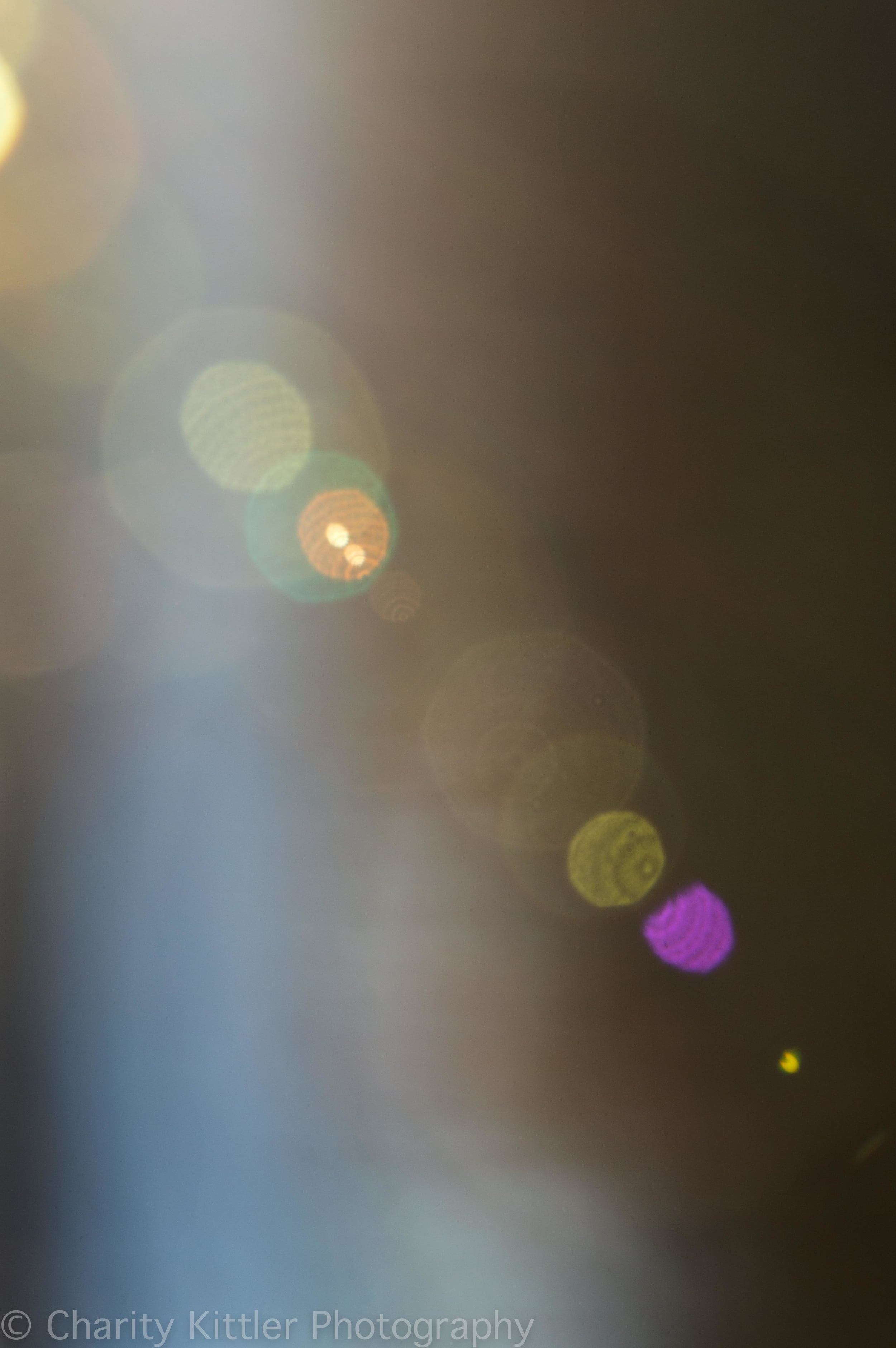 DSC_9097.jpg