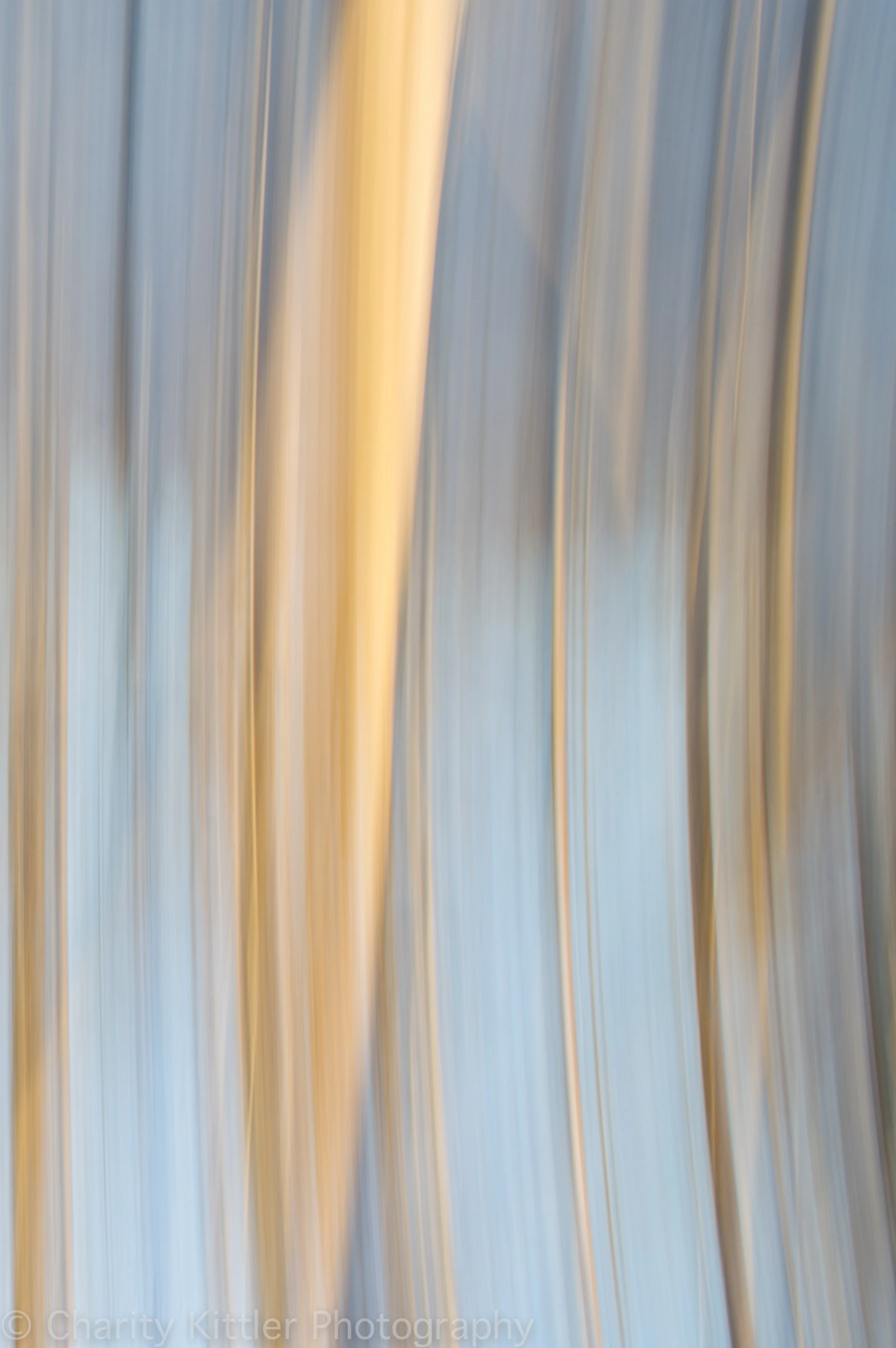 DSC_0271.jpg