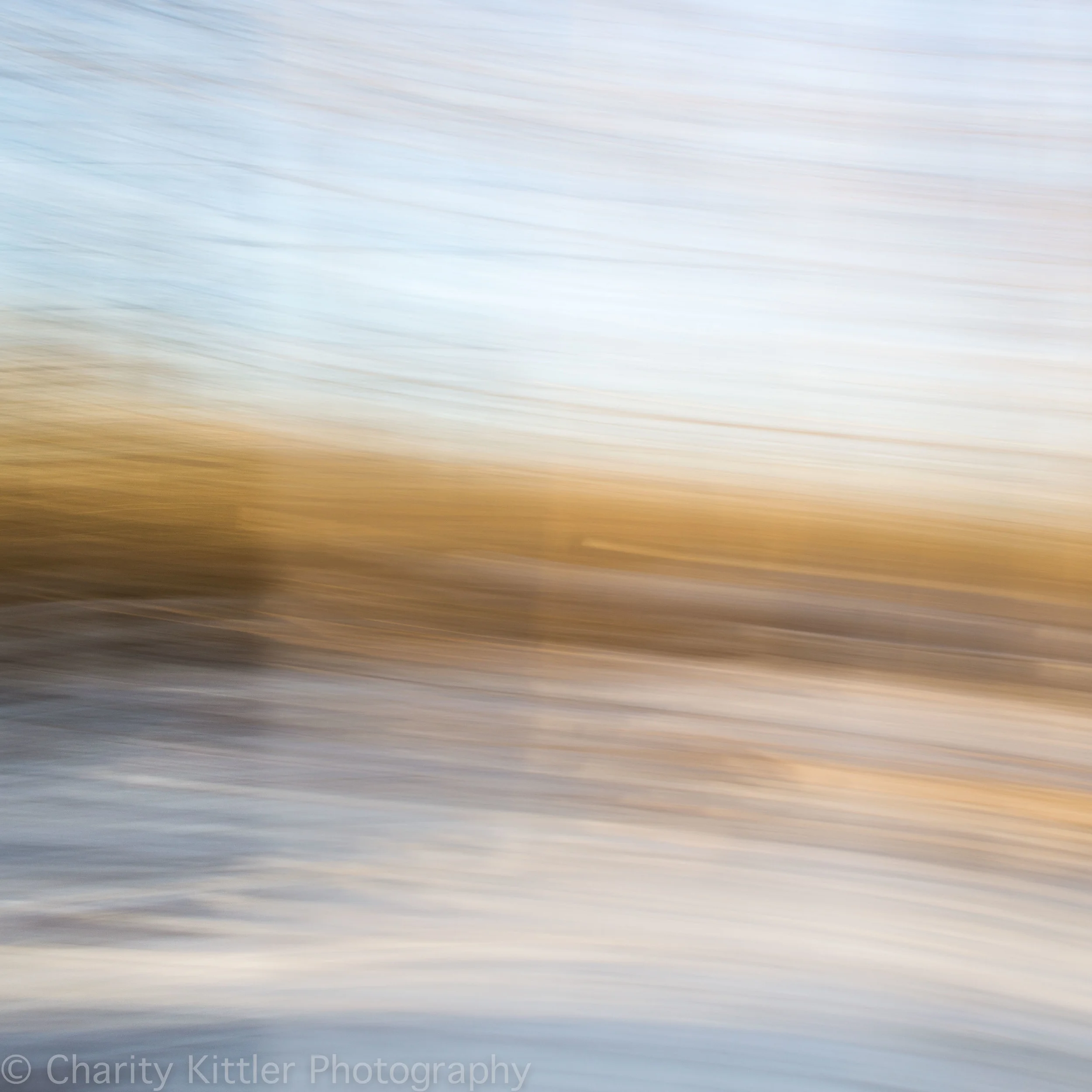 DSC_0291.jpg