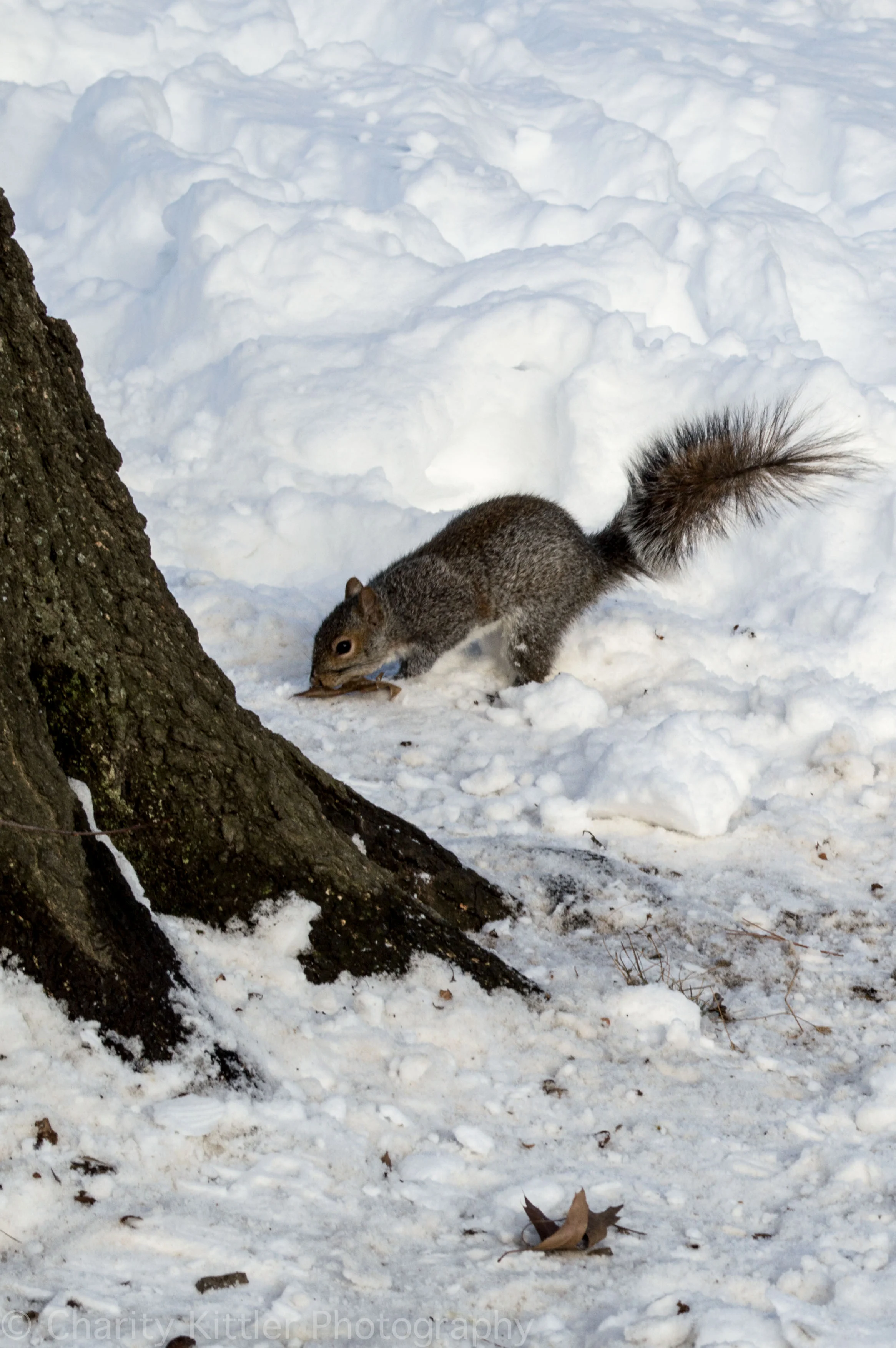 DSC_0469.jpg