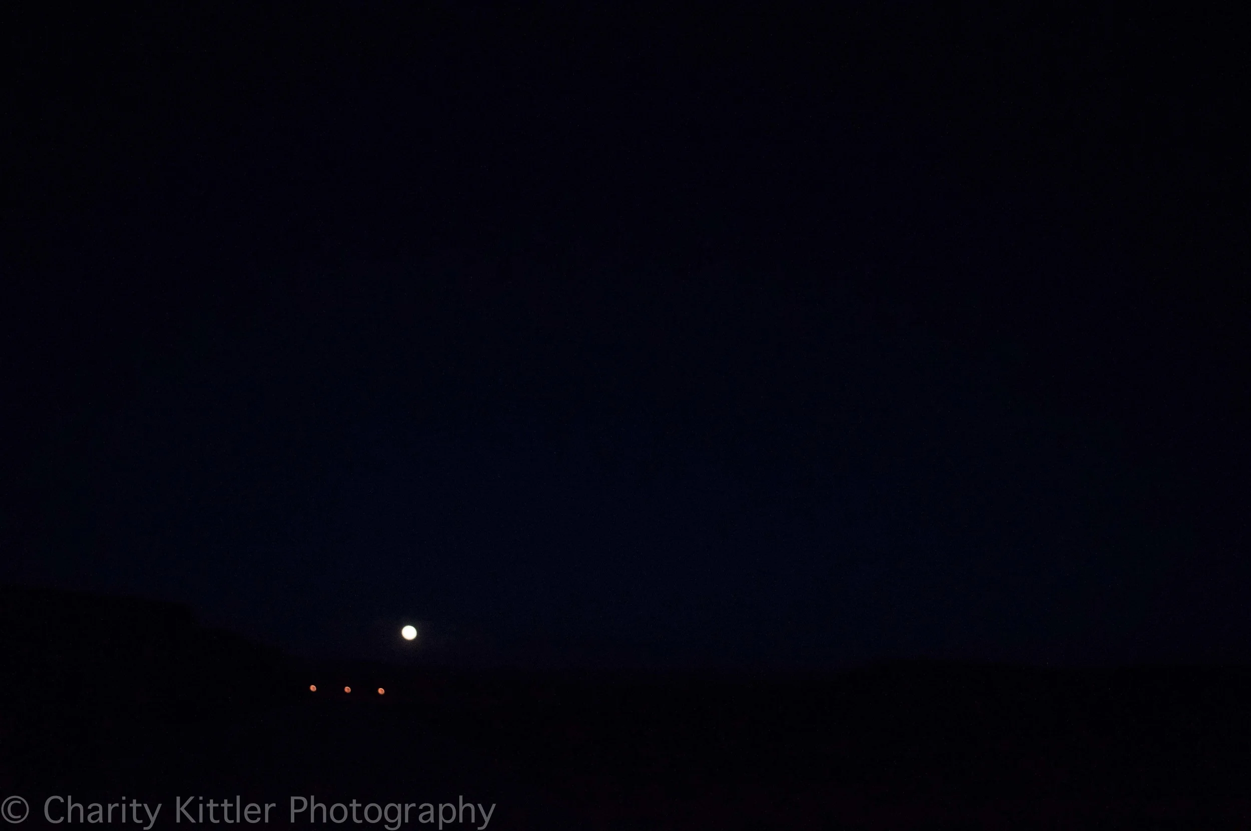 DSC_1393.jpg
