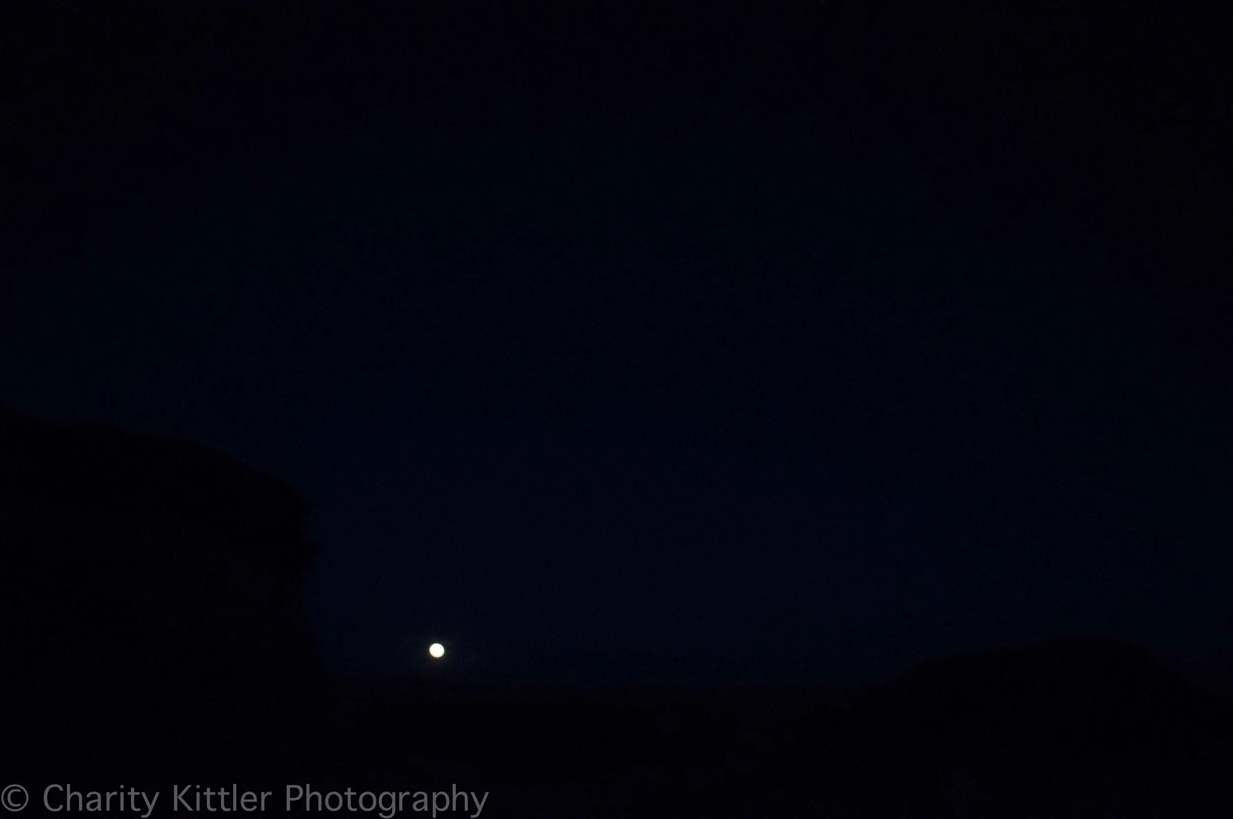 DSC_1391.jpg