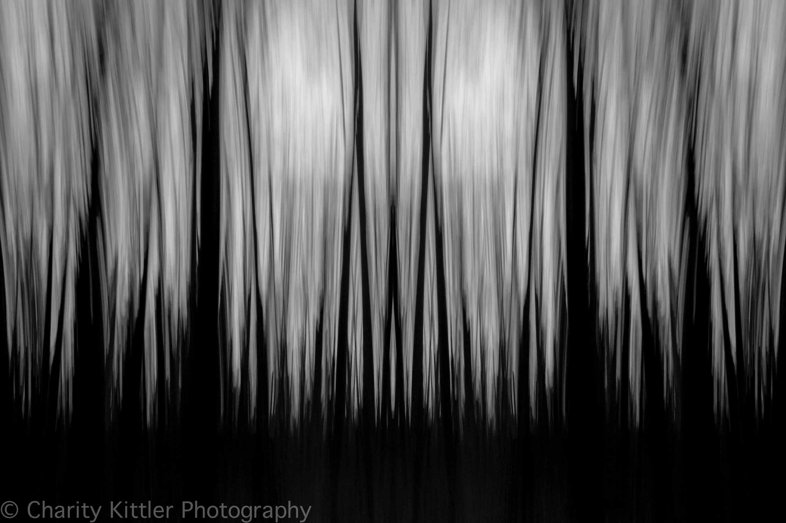 StarStaX_DSC_1448-2-DSC_1448_darken_00000001-2.jpg