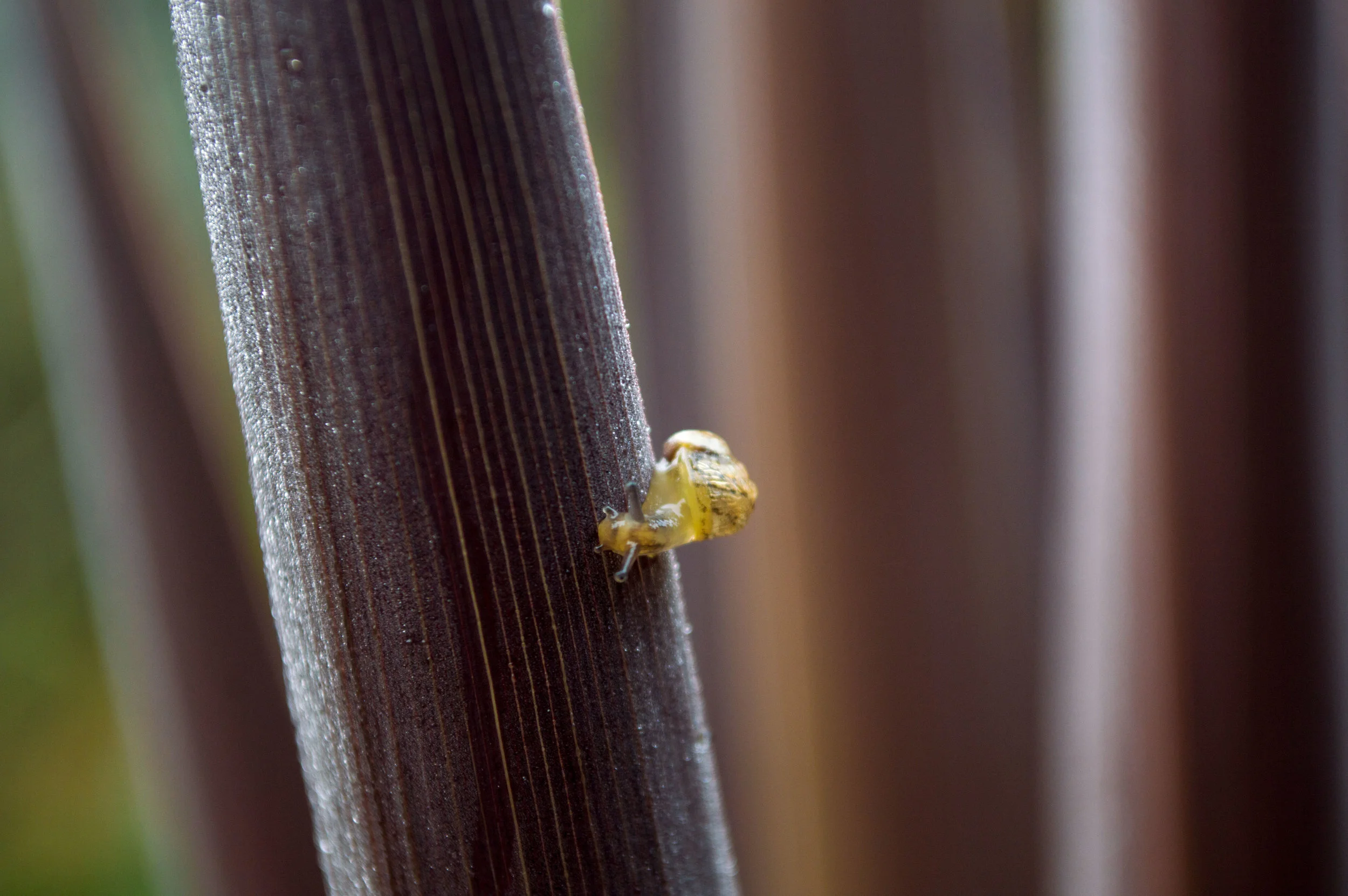 DSC_0218-2.jpg