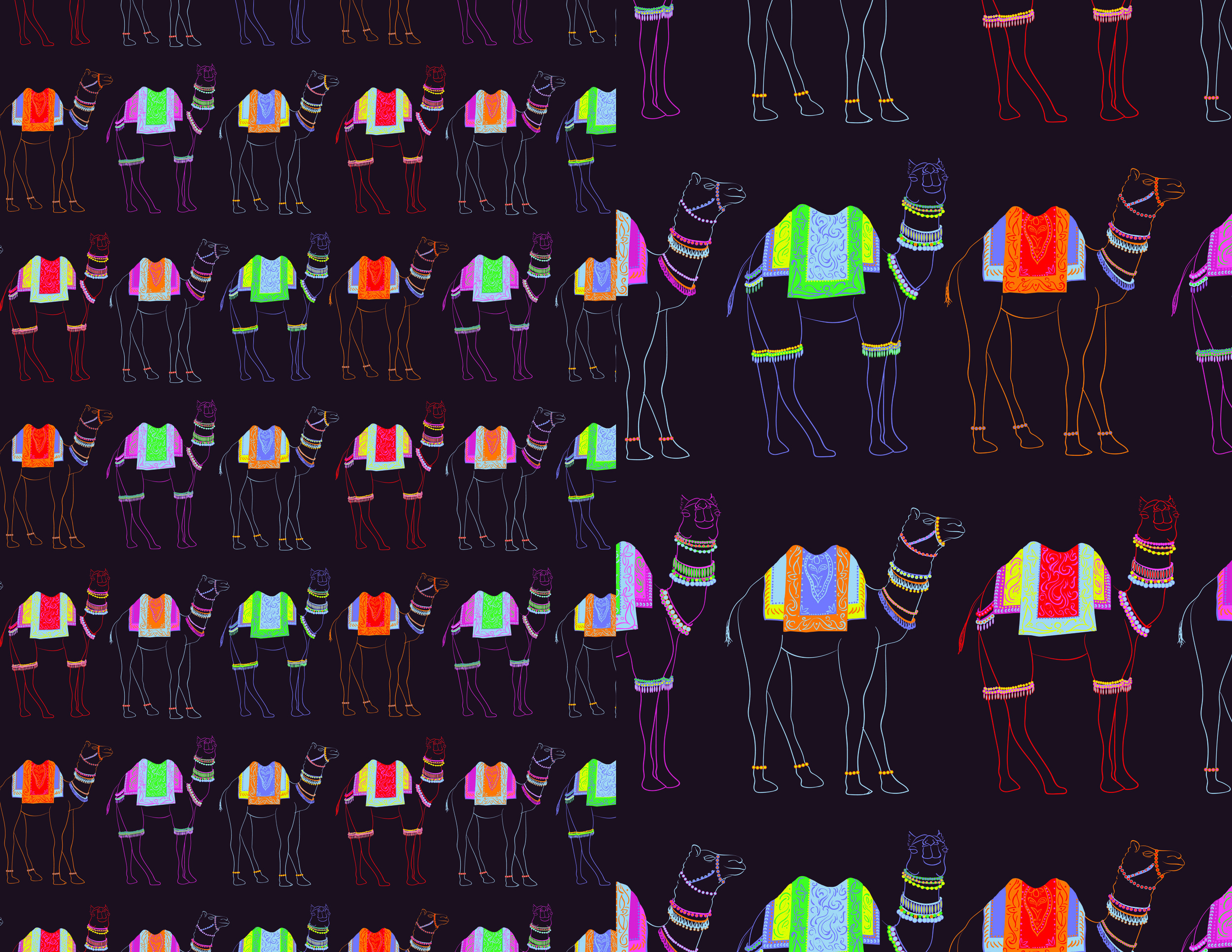   Camel Parade (India Collection)   Hand drawn in Illustrator, shown at 100% and 200% scale  Completed February 2018. 