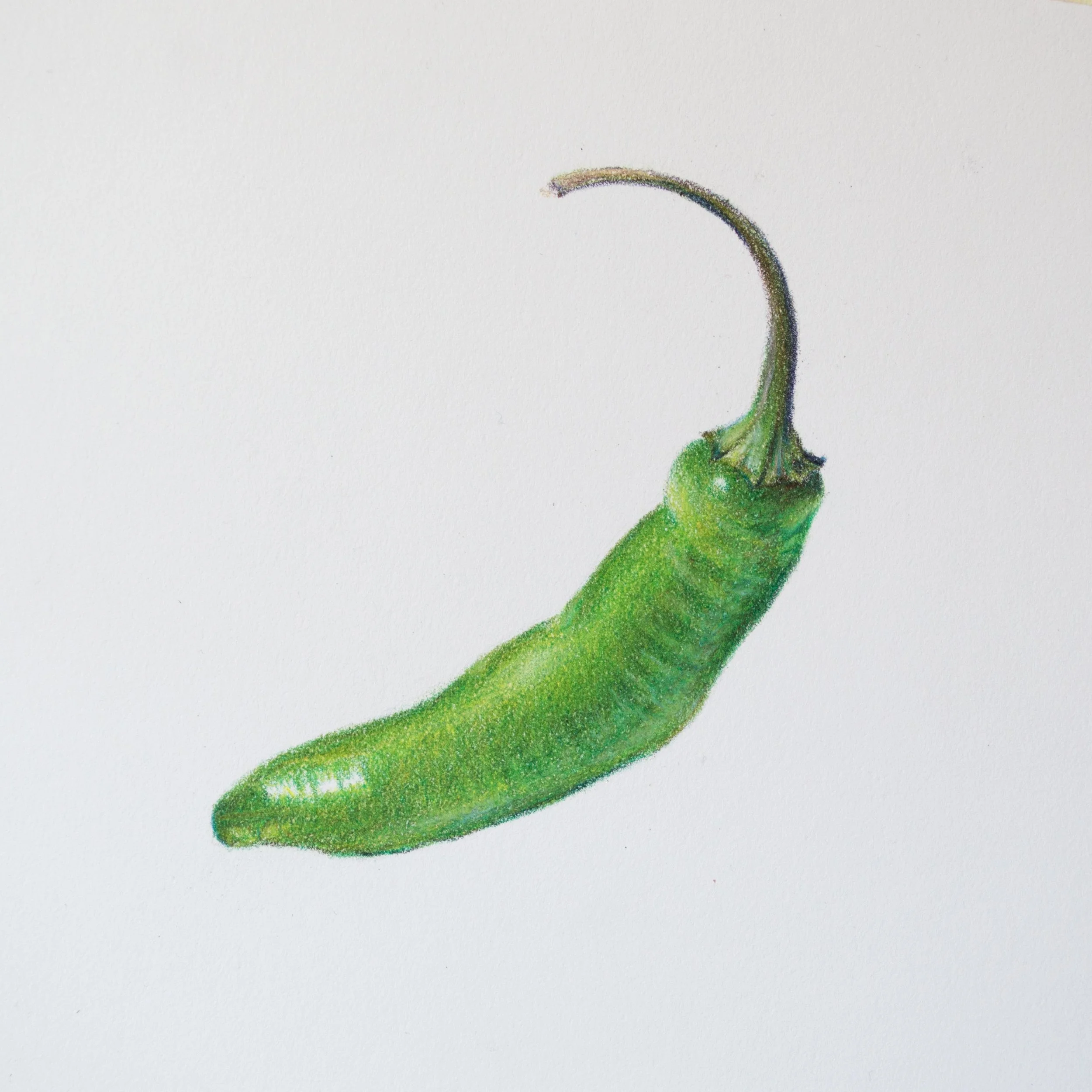 DSC_9263.jpg