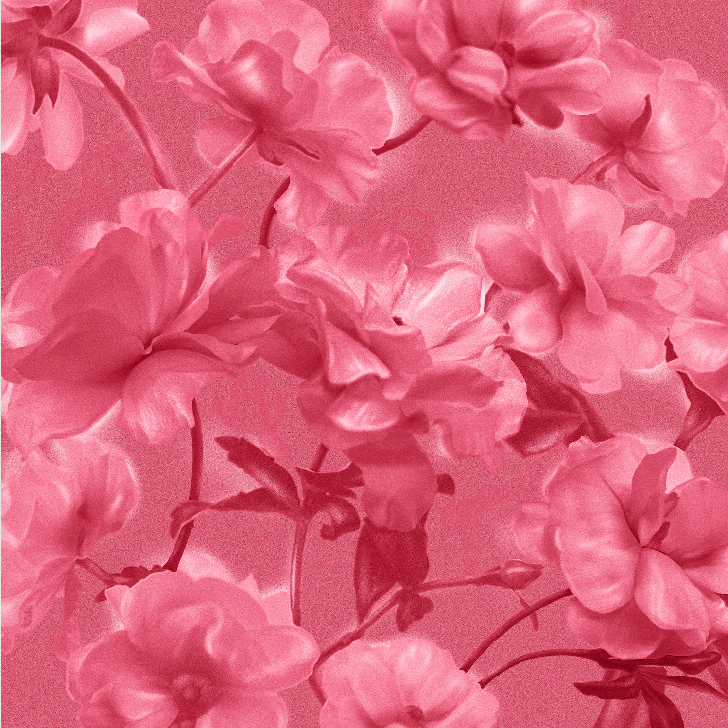 Screenshot 2025-11-03 at 10.48.40 AM.png