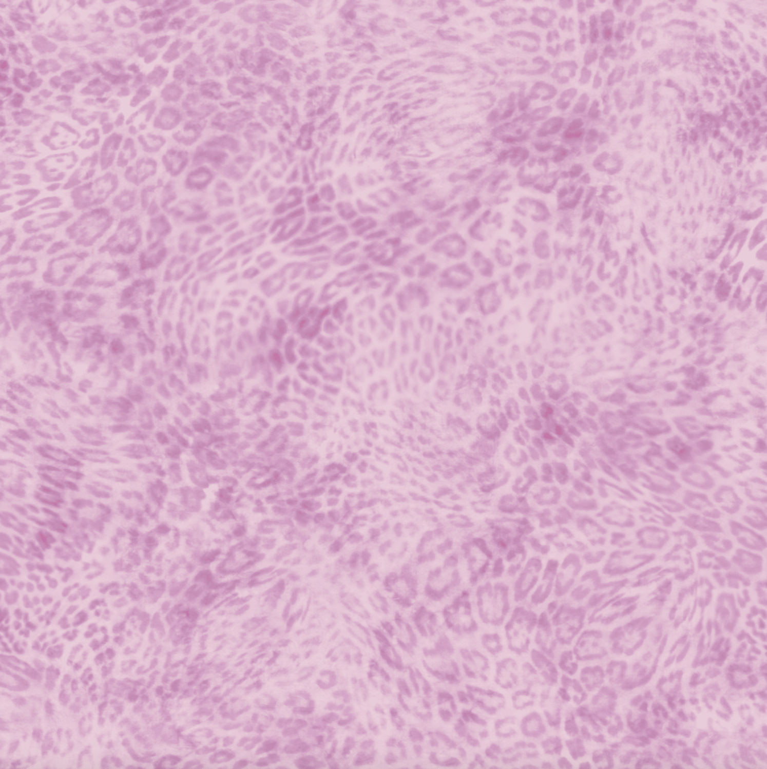 Screenshot 2026-04-14 at 12.24.59 PM.png