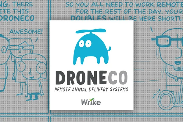 Wrike: DroneCo