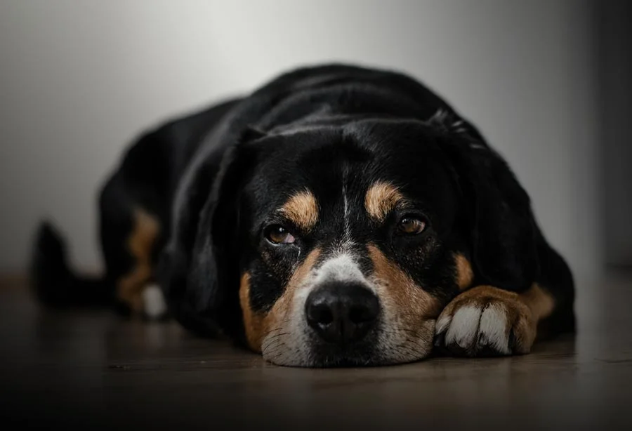 Challenge Check, Part 2: Engaging a bored employee; special assignment time!