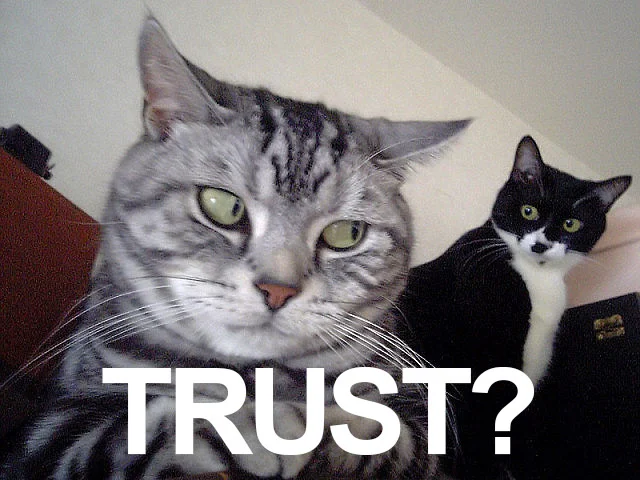 Are You Building Trust? Are You a Cat?