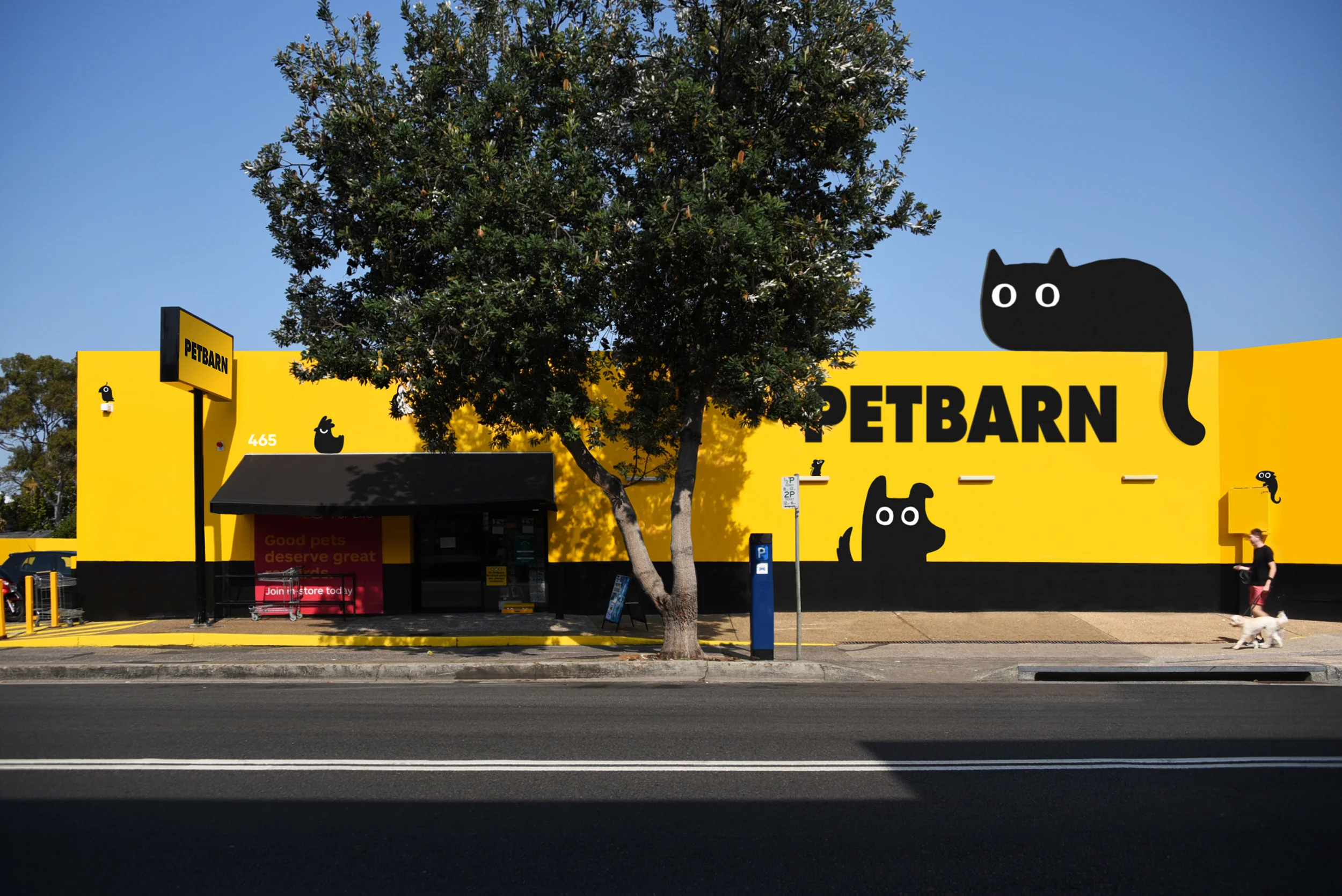 TomCarey_Petbarn_01.jpg