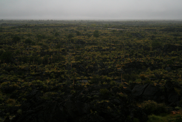 Curious, beautiful New Mexico