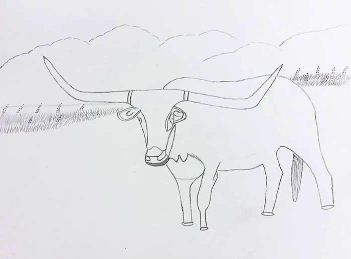 David M.’s graphite drawings stood out, the long horn steer frequently appears in his work