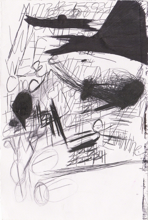 Untitled , Beverly Baker, ballpoint pen on paper, 2010