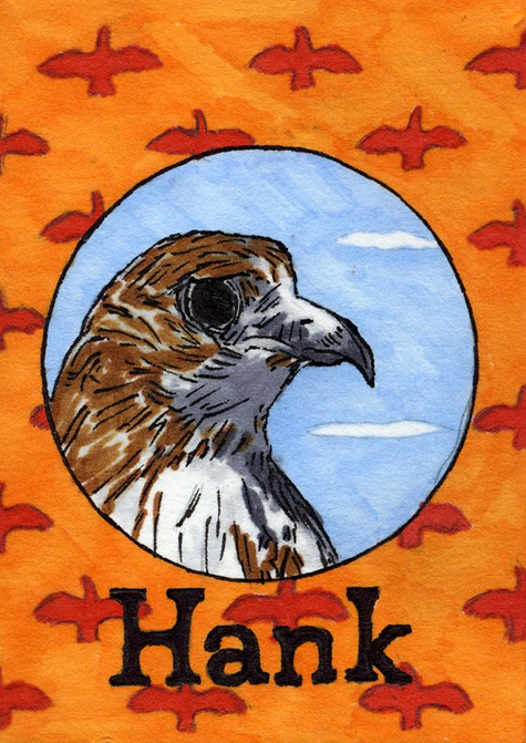 Hank the Hawk