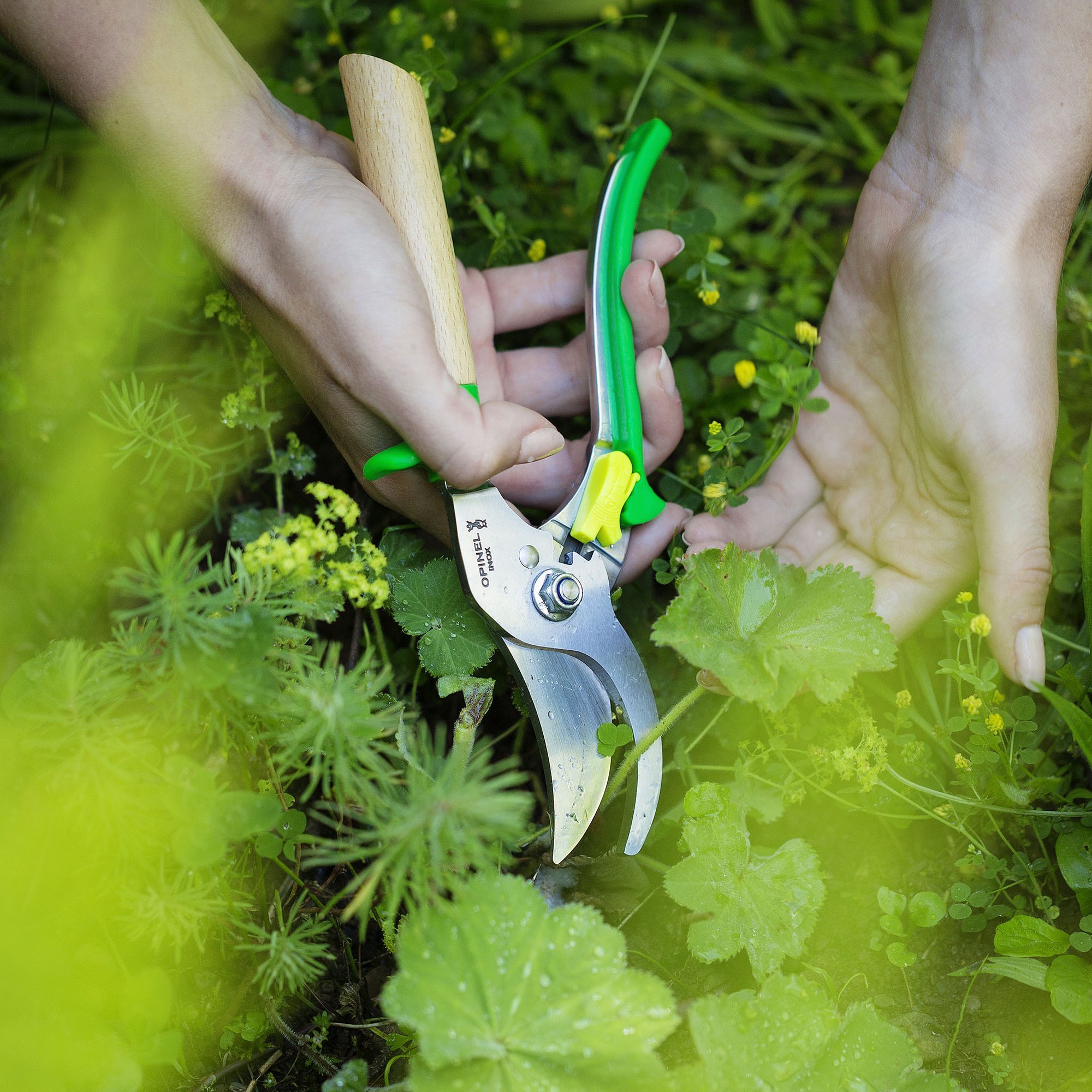 Opinel Hand Pruner Green — Byron & Barclay