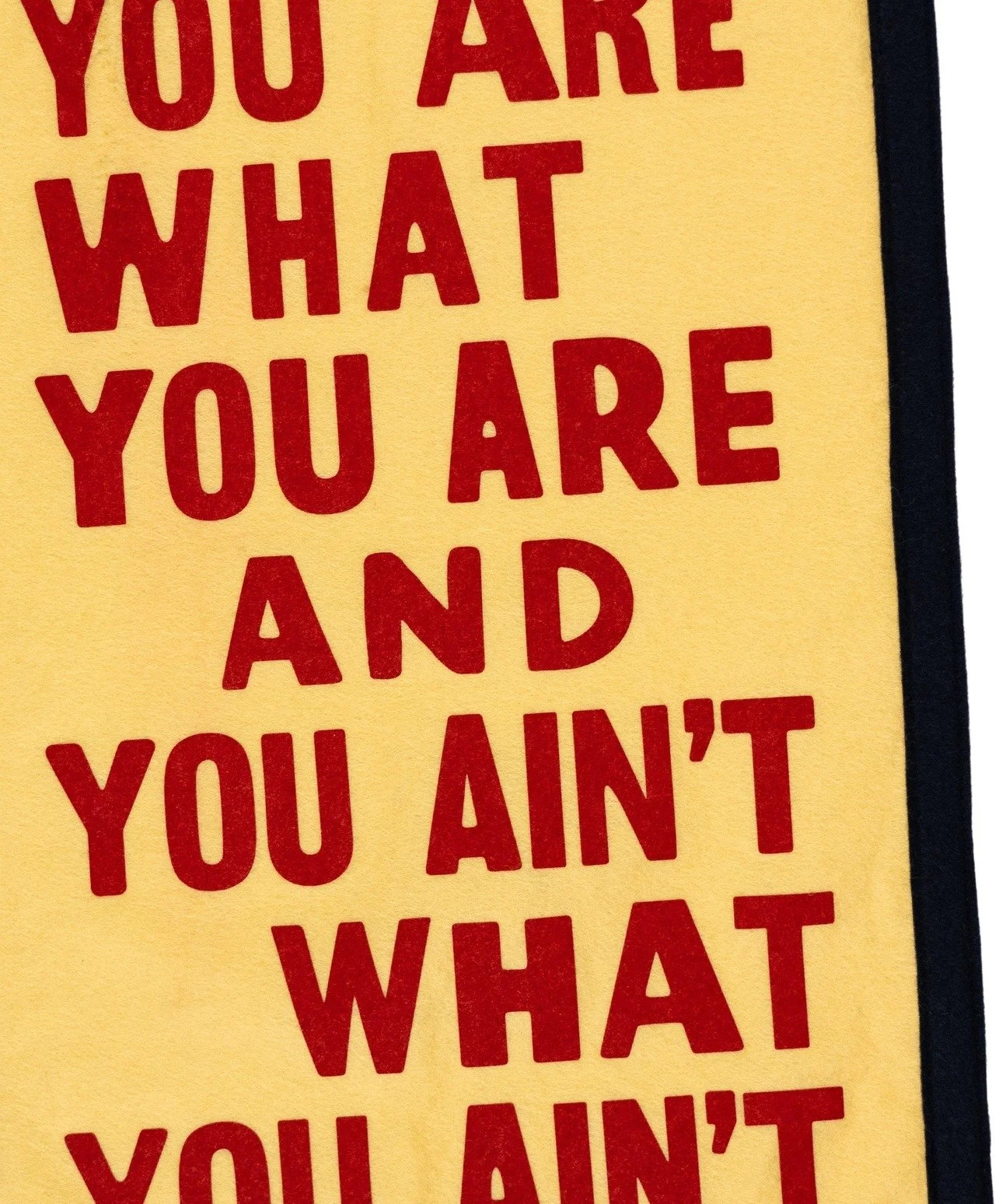 You Are What You Are Camp Flag