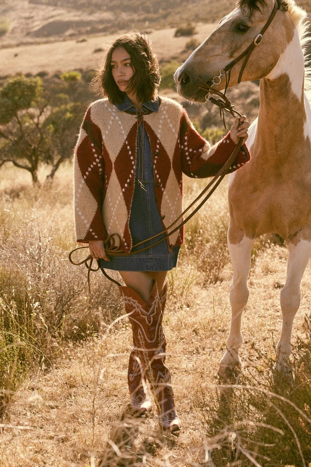 Argyle Button Up Cardigan Burgundy