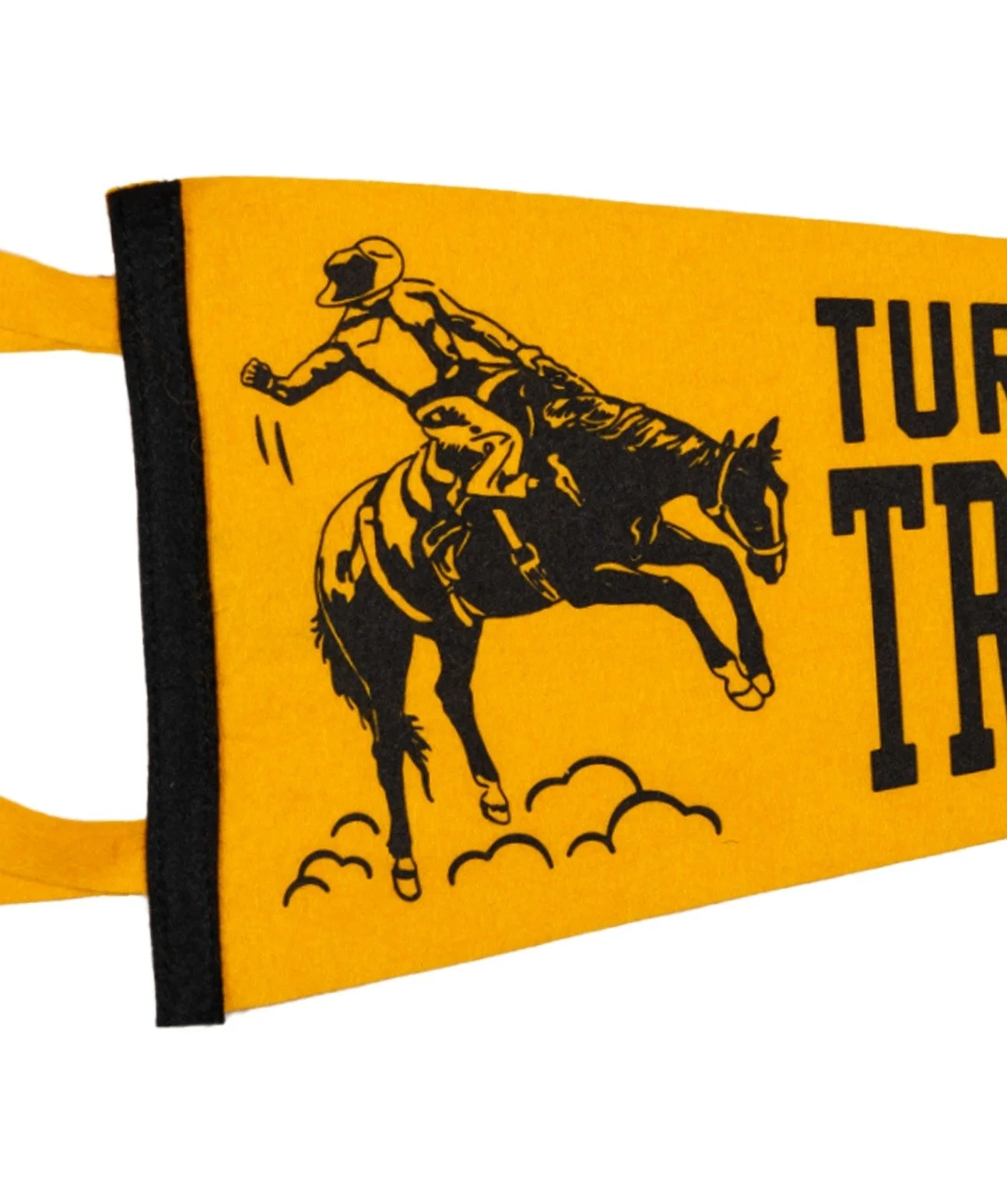 Turnpike Troubadours Pennant