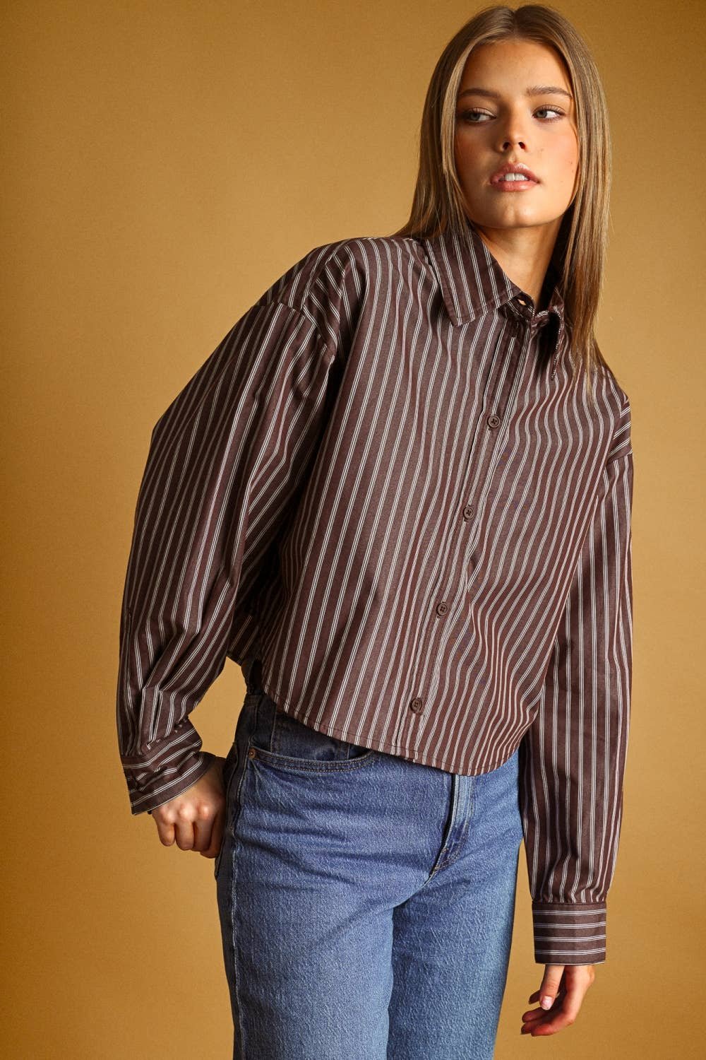 Striped Cropped Poplin Button Down Chocolate