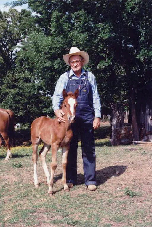 Papaw with his horse Socks. This is how I remember him.