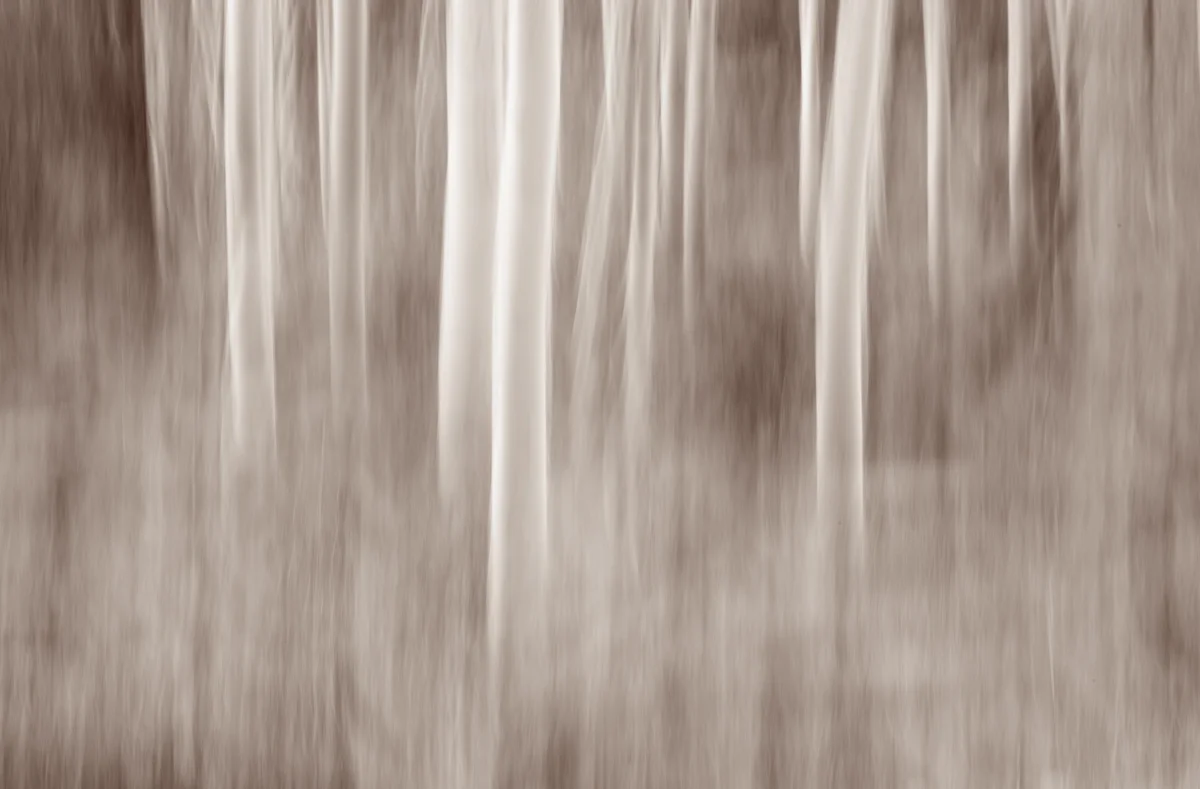 The Painted Woodland-16.jpg