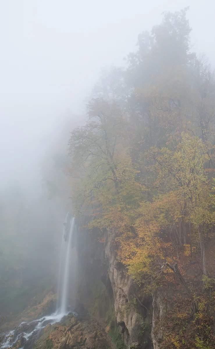 _A2A3931.jpg
