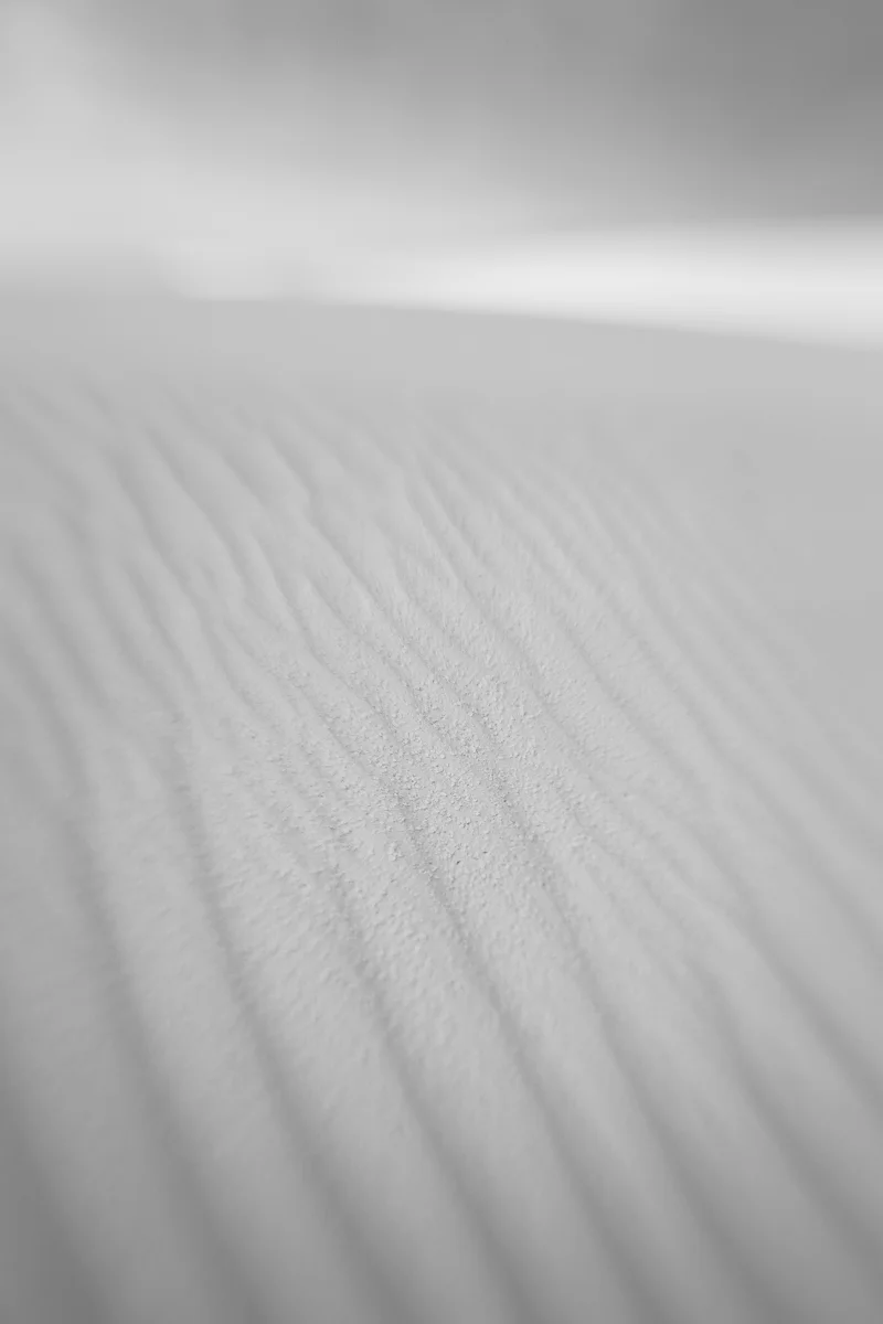 _A2A2305.jpg