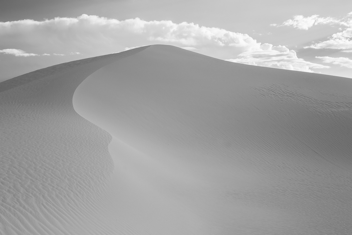 _A2A2916.jpg