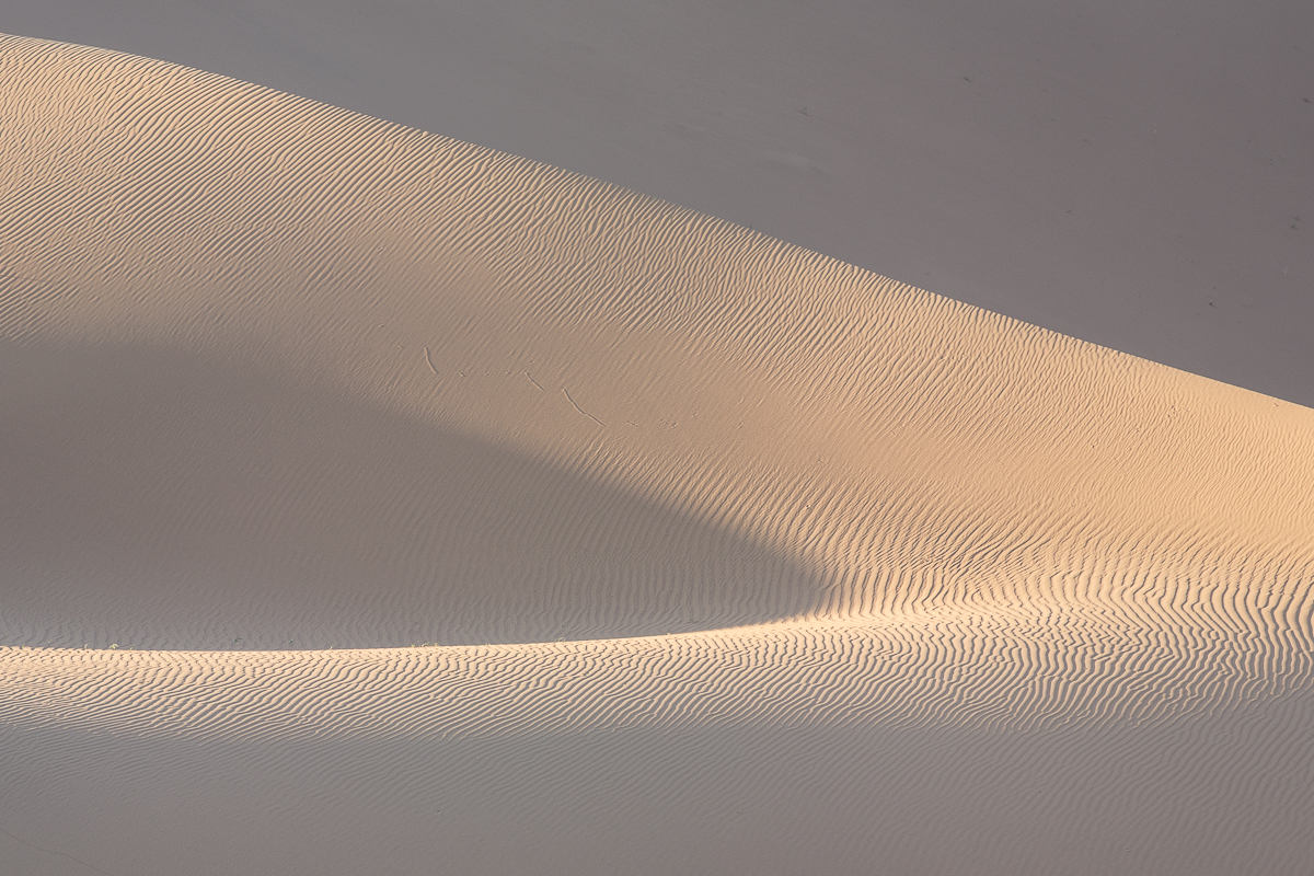 _A2A8702.jpg