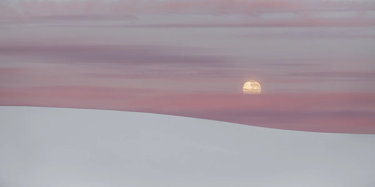 _A2A7464.jpg